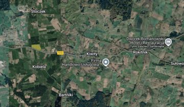 Działka leśna Kiwity