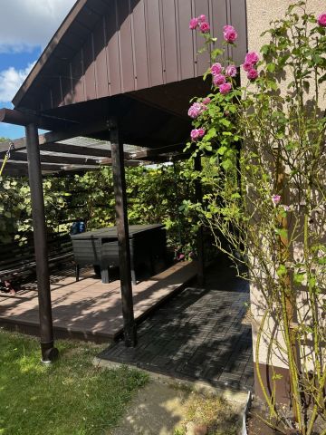 Działka rod Skierniewice, ul. Mazowiecka. Zdjęcie 1