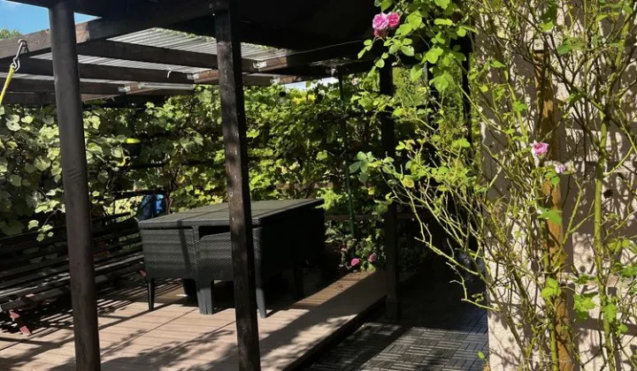 Działka rod Skierniewice, ul. Mazowiecka