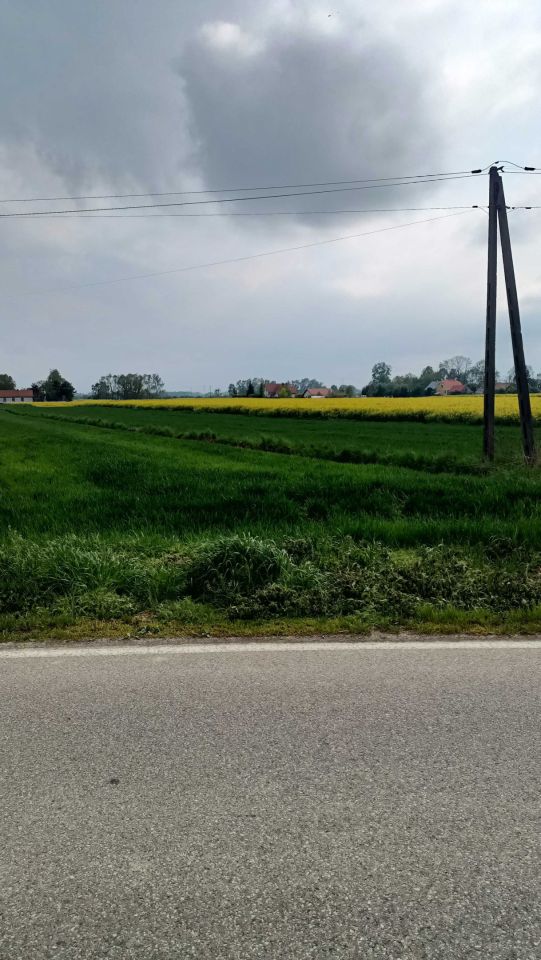 Działka rolno-budowlana Łęka Siedlecka. Zdjęcie 2