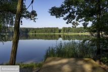 Działka budowlana Turawa, ul. Średnia. Zdjęcie 4