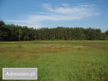 Działka budowlana Bębnów. Zdjęcie 2