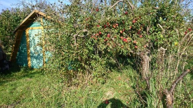 Działka rekreacyjna Radom, ul. Białostocka. Zdjęcie 1