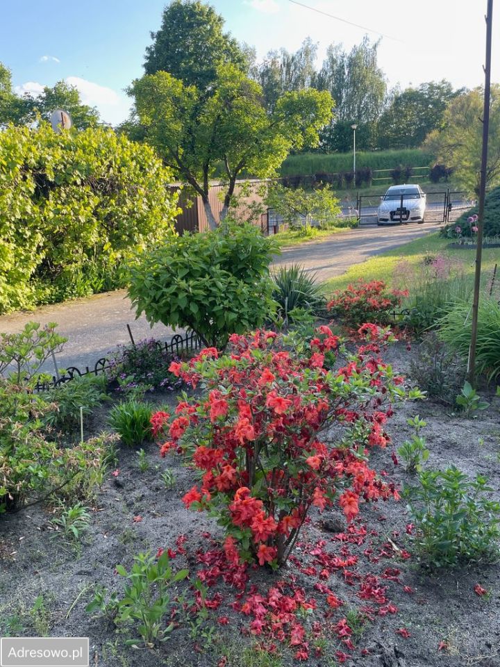 bliźniak, 3 pokoje Zielona Góra Centrum, ul. Nowa. Zdjęcie 10