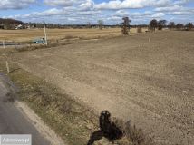 Działka budowlana Górzyn. Zdjęcie 3