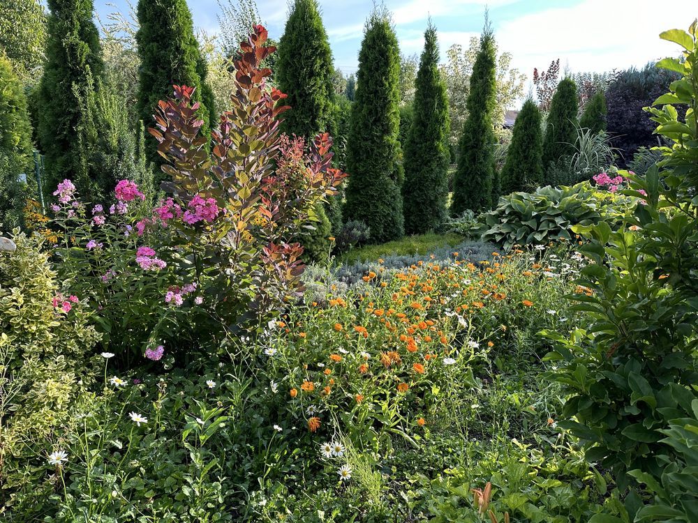 Działka rod Bełchatów, ul. Cegielniana. Zdjęcie 7