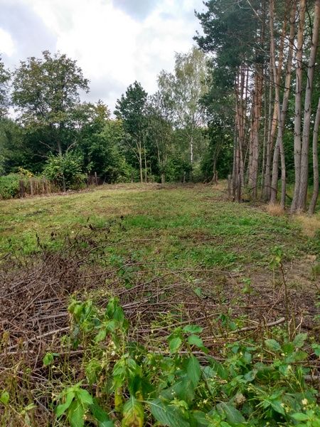 Działka budowlana Zabrze Pawłów, ul. gen. Władysława Sikorskiego. Zdjęcie 6