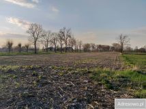 Działka budowlana Zieleniec. Zdjęcie 1