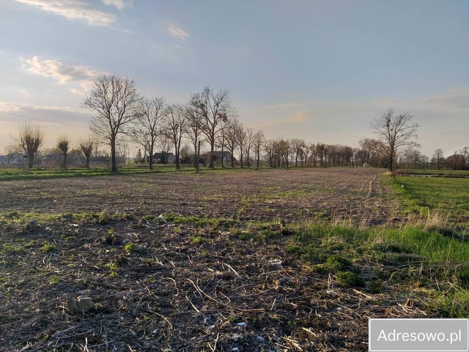 Działka budowlana Zieleniec. Zdjęcie 2