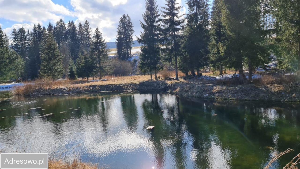 Działka rekreacyjna Piaskowice. Zdjęcie 3