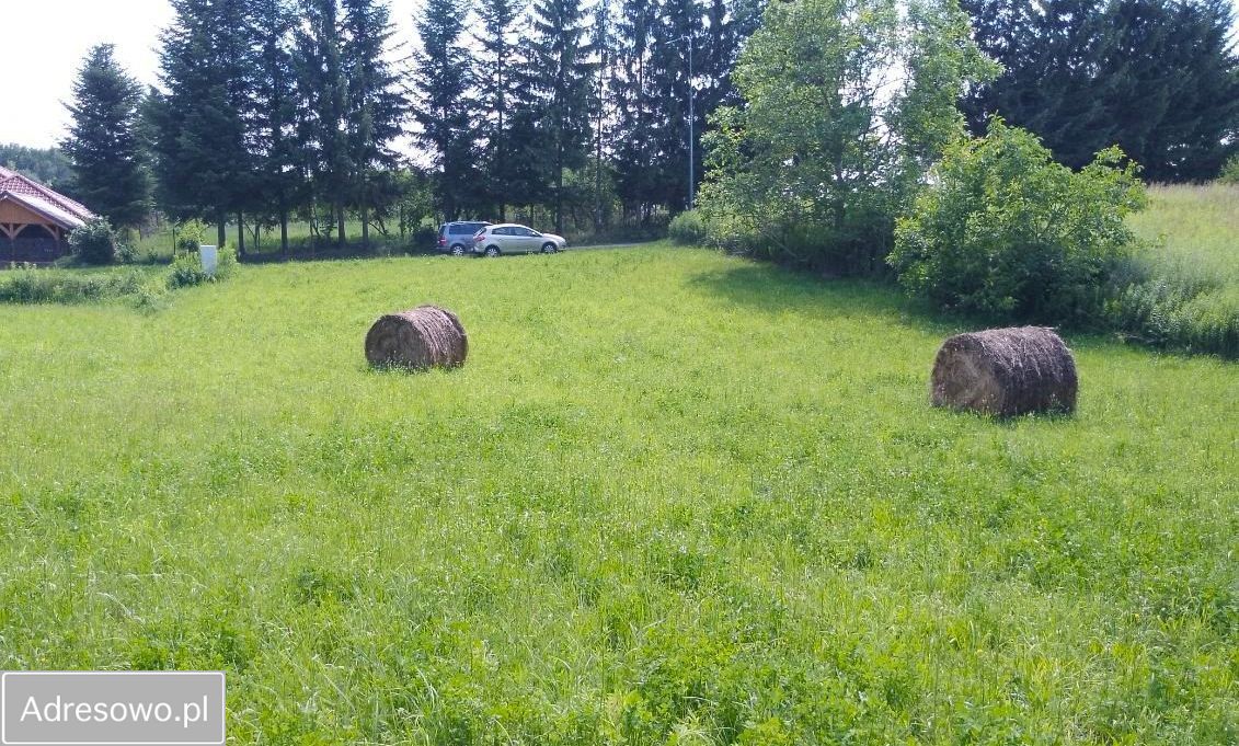 Działka rolna Konopnica. Zdjęcie 4