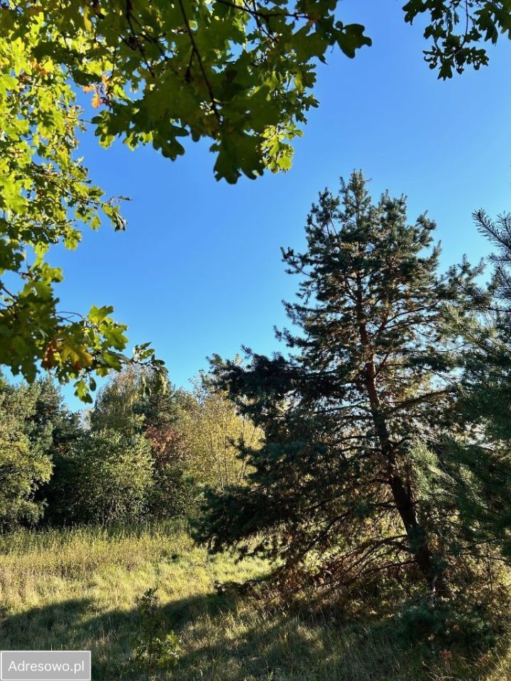 Działka budowlana Wola Aleksandra, ul. Wolska. Zdjęcie 11