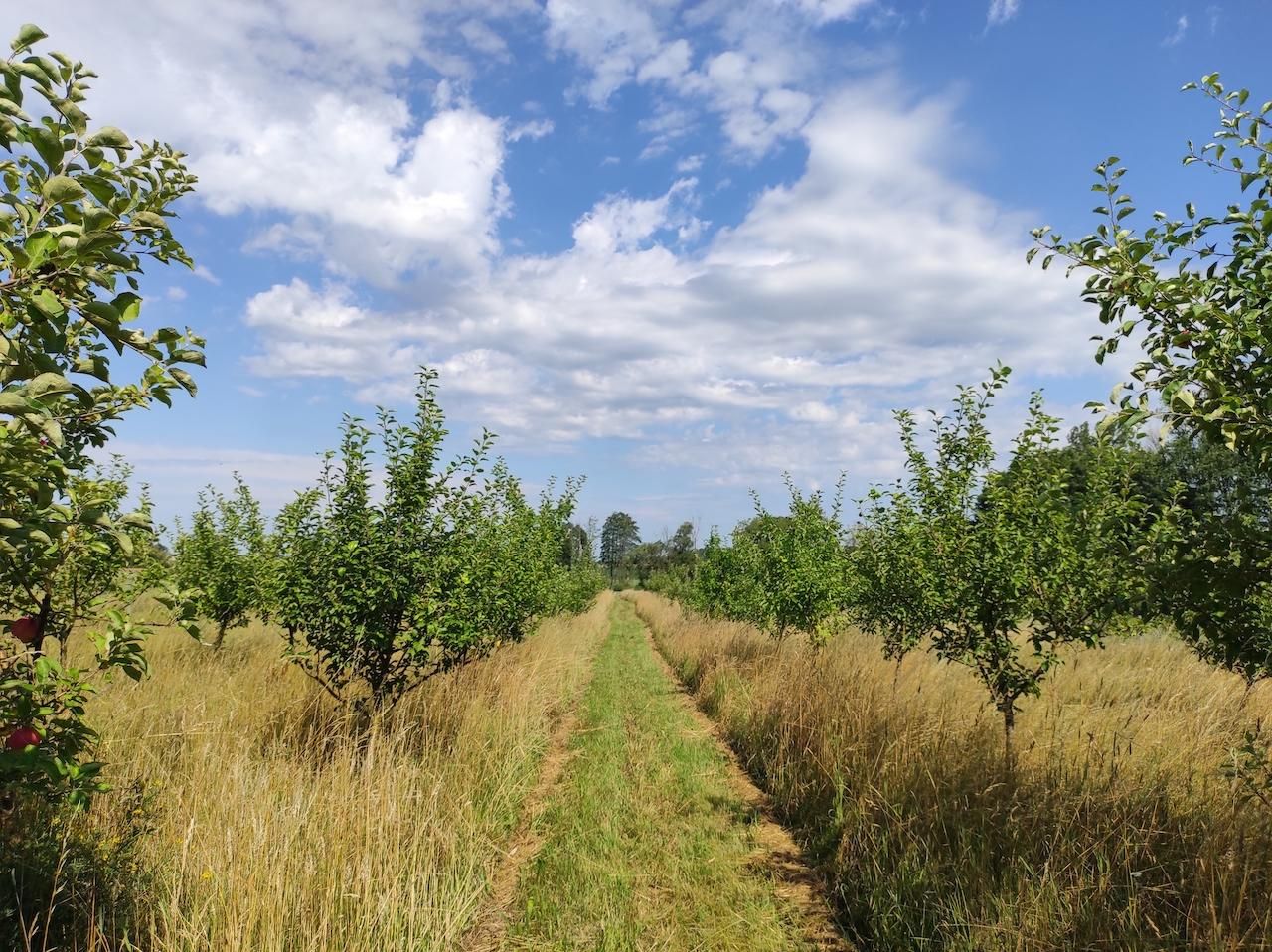 gospodarstwo Starowieś. Zdjęcie 10