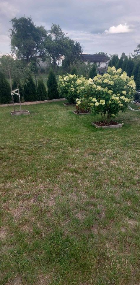 Działka rod Grochowiska. Zdjęcie 42