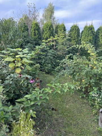 dom wolnostojący, 5 pokoi Rypin, ul. 3 Maja. Zdjęcie 39