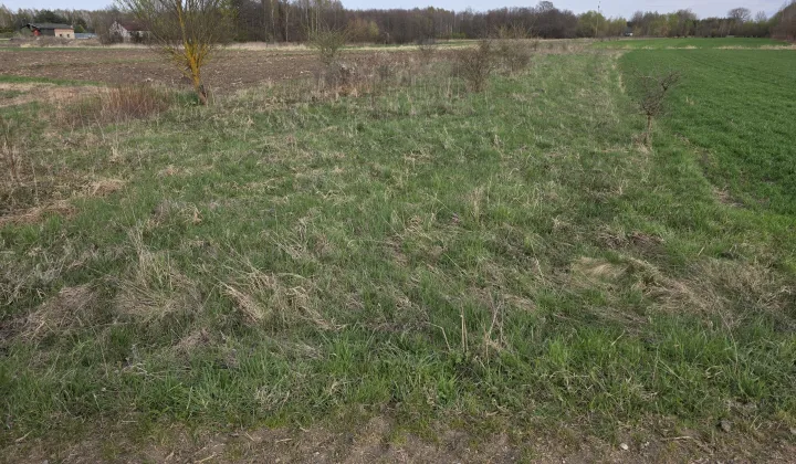 Działka rolna Krzemienica Górki