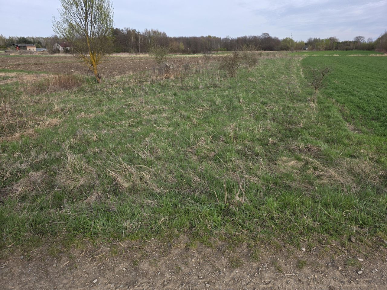 Działka rolna Krzemienica Górki. Zdjęcie 1