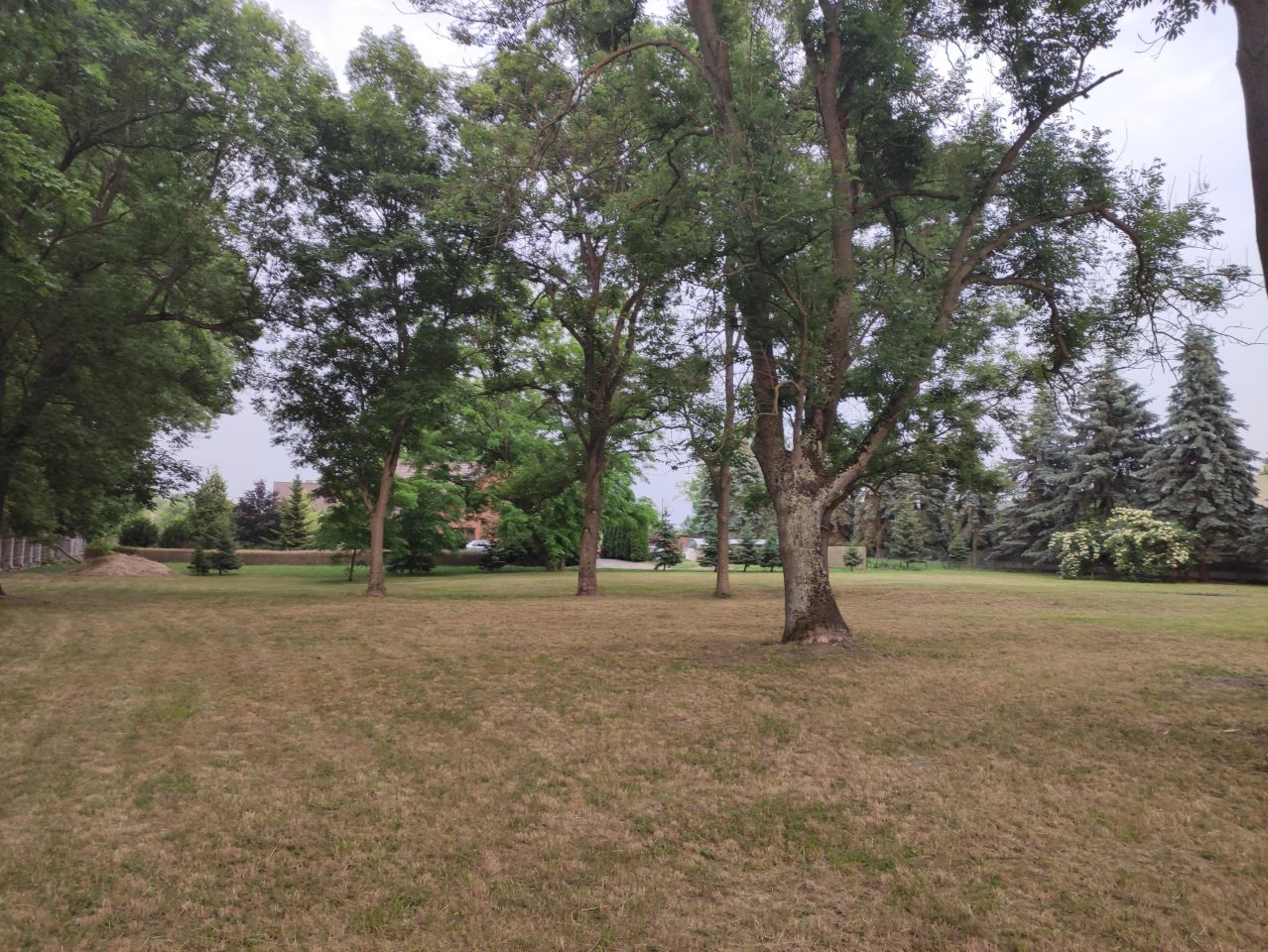 Działka siedliskowa Oblas, ul. Kasztanowa. Zdjęcie 6