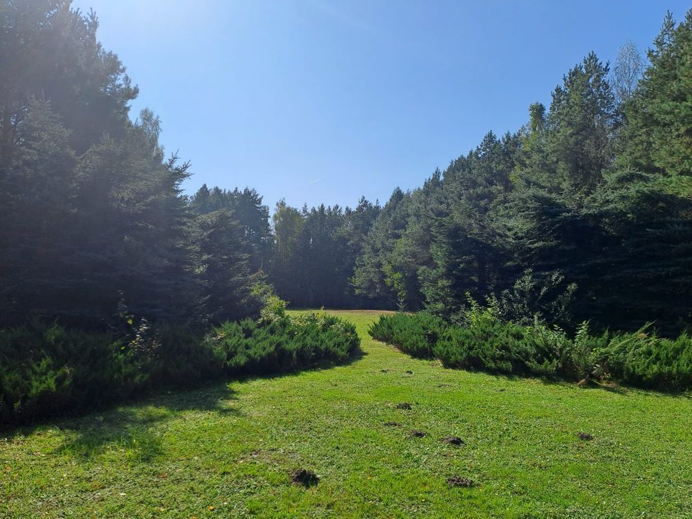 Działka rolno-budowlana Majdan Skrzyniecki. Zdjęcie 7