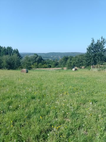 Działka budowlana Manasterz Niewaźka. Zdjęcie 1