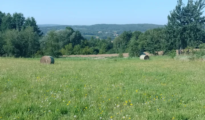 Działka budowlana Manasterz Niewaźka