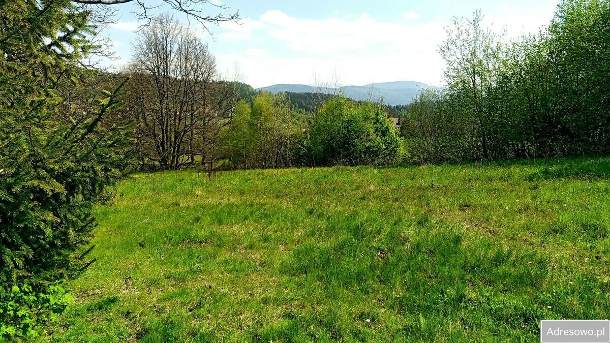 Działka budowlana Krzeszów. Zdjęcie 3