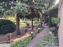 dom wolnostojący, 7 pokoi Ciosaniec. Zdjęcie 3