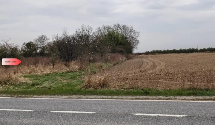 Działka rolna Oleśnica Rataje
