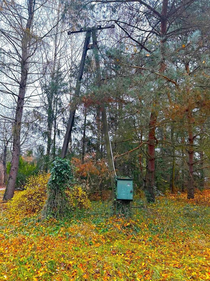 Działka budowlana Łomianki Dolne, ul. Azalii. Zdjęcie 6