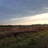 Działka budowlana Bytom Odrzański, ul. Kopernika. Zdjęcie 2