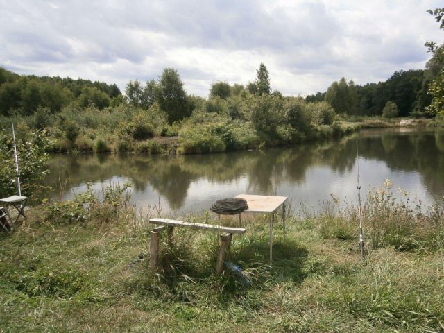 dom wolnostojący, 6 pokoi Krosno Odrzańskie. Zdjęcie 2