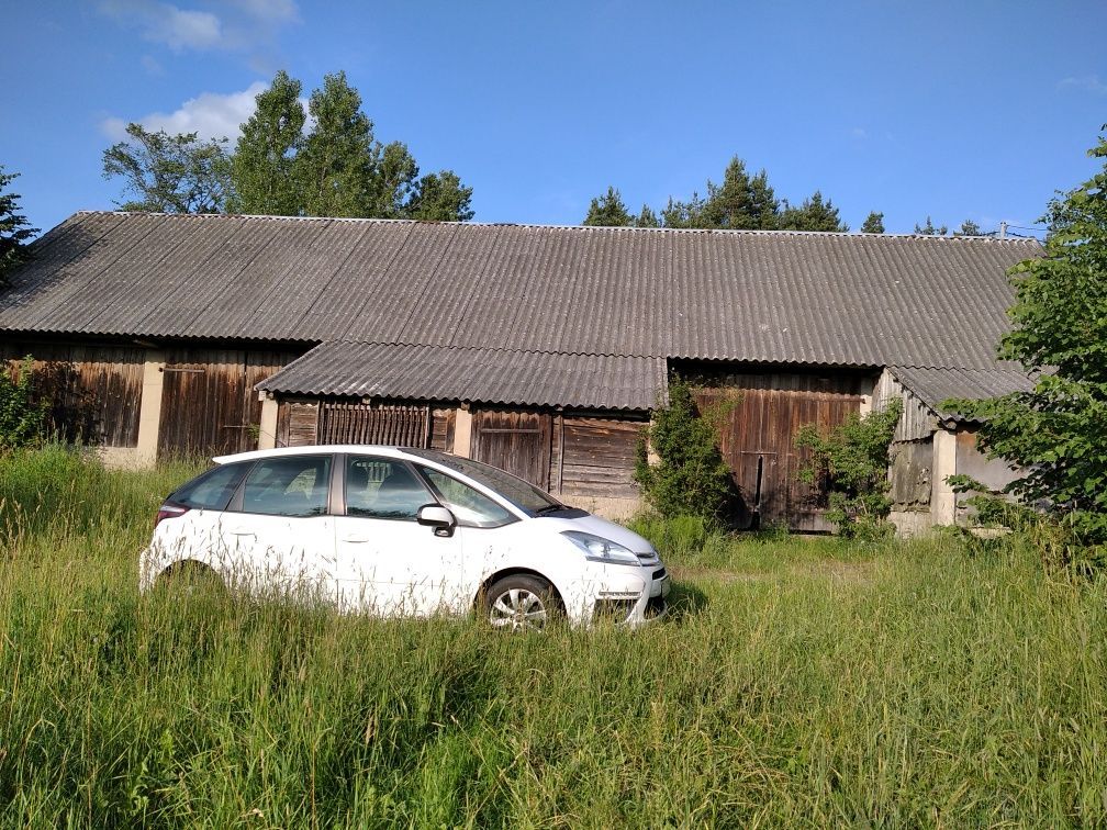 siedlisko Wołkusze. Zdjęcie 7