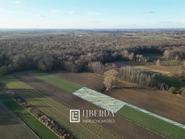 Działka rolna Motycz Leśny. Zdjęcie 1