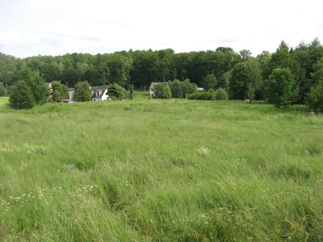 Działka budowlana Dąbrowica. Zdjęcie 1