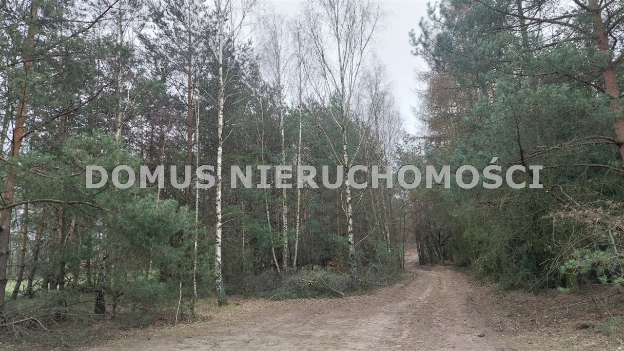 Działka inwestycyjna Grzmiąca. Zdjęcie 3