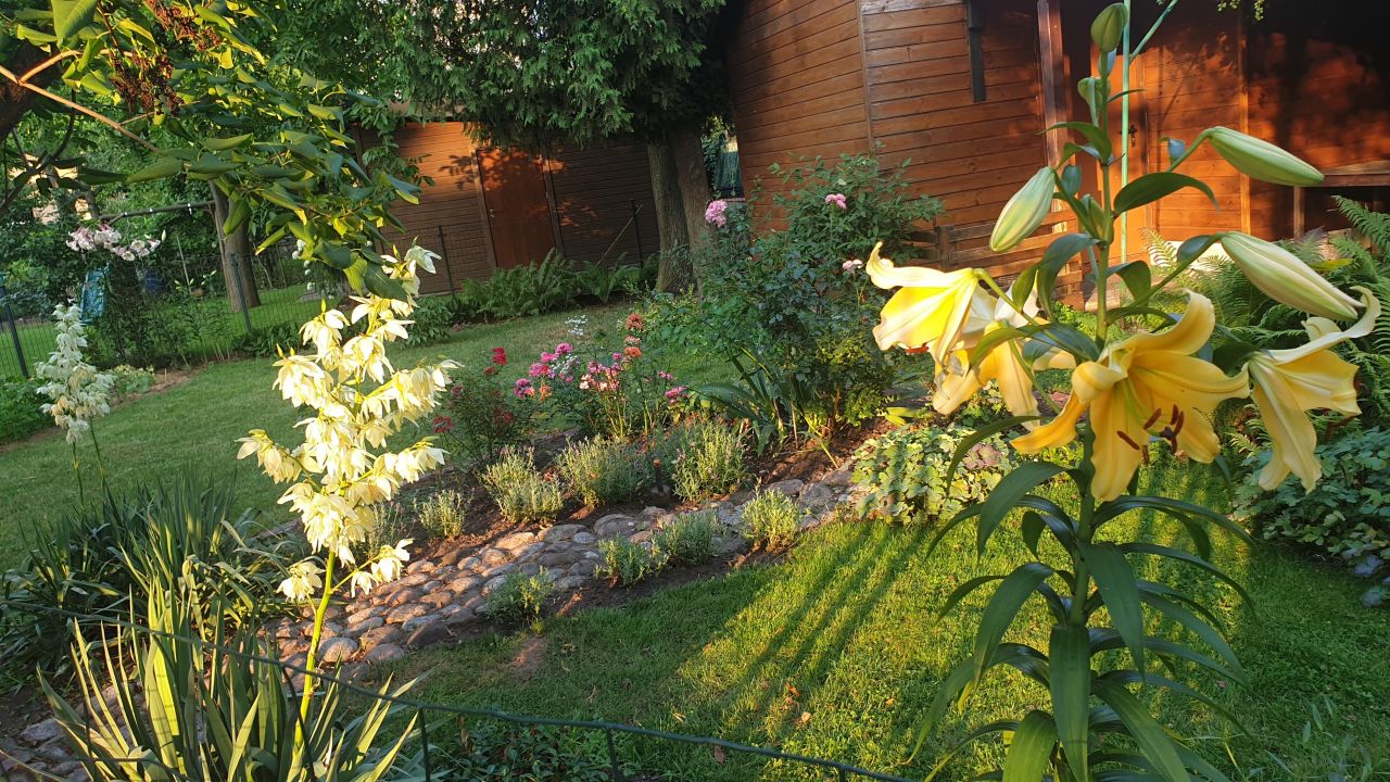 Działka rod Warszawa Marymont, ul. Klaudyny. Zdjęcie 16