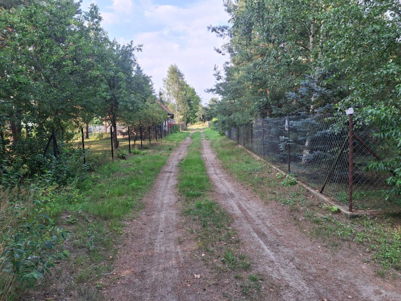 Działka budowlana Barchów. Zdjęcie 6