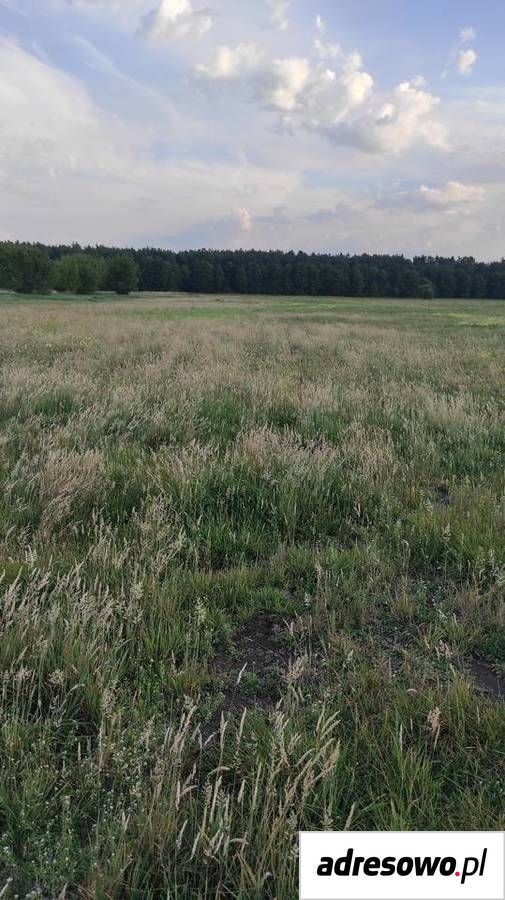 Działka rolna Stary Sławacinek. Zdjęcie 8
