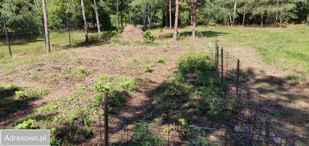 Działka budowlana Borowiec. Zdjęcie 7