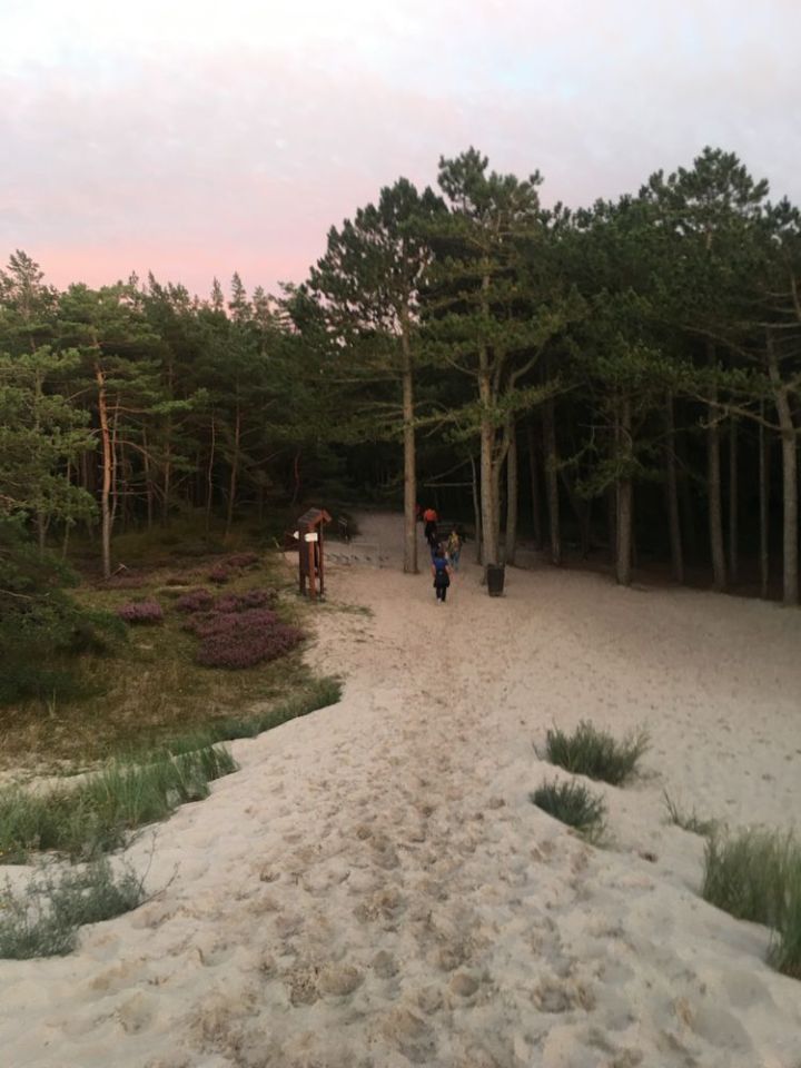 Działka budowlana Smołdziński Las. Zdjęcie 8