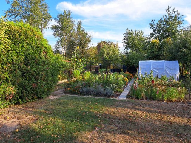 Działka rod Mielec. Zdjęcie 1