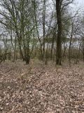 Działka rekreacyjna Tucze. Zdjęcie 3