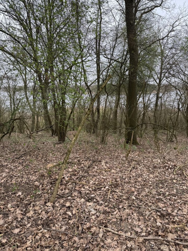 Działka inwestycyjna Tucze. Zdjęcie 5