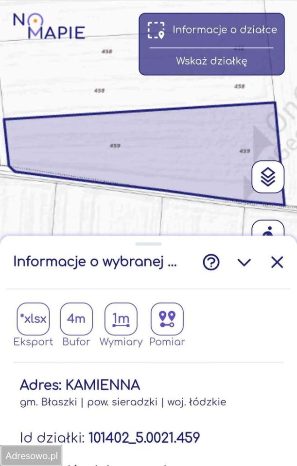 Działka rolna Kamienna-Kolonia. Zdjęcie 5