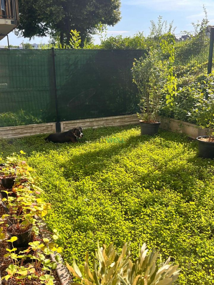 Mieszkanie 3-pokojowe Wrocław Klecina, ul. Dożynkowa. Zdjęcie 17