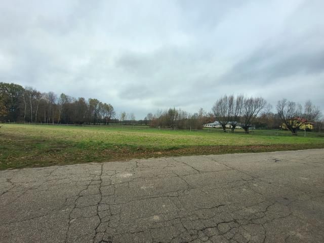 Działka rekreacyjna Wola Młocka. Zdjęcie 8