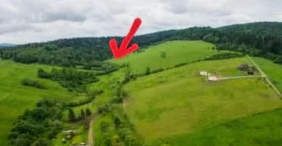 Działka rolna Brzegi Dolne. Zdjęcie 3