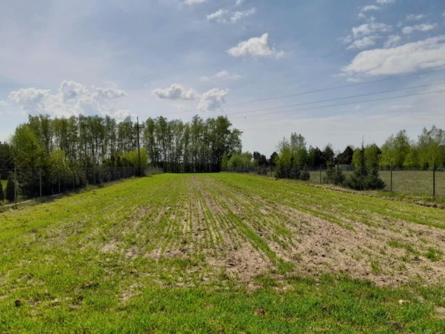 Działka budowlana Nowy Ludwików. Zdjęcie 1