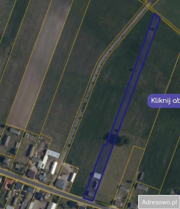 Działka rolna Raczyny. Zdjęcie 3