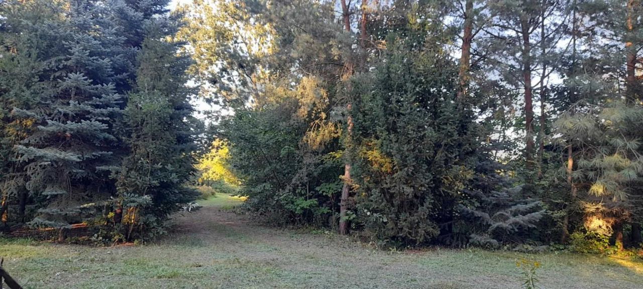 Działka inwestycyjna Maszewo Duże. Zdjęcie 7